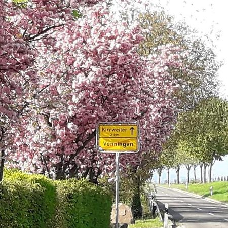 Gaestehaus Lifestyle Kirrweiler  Zewnętrze zdjęcie